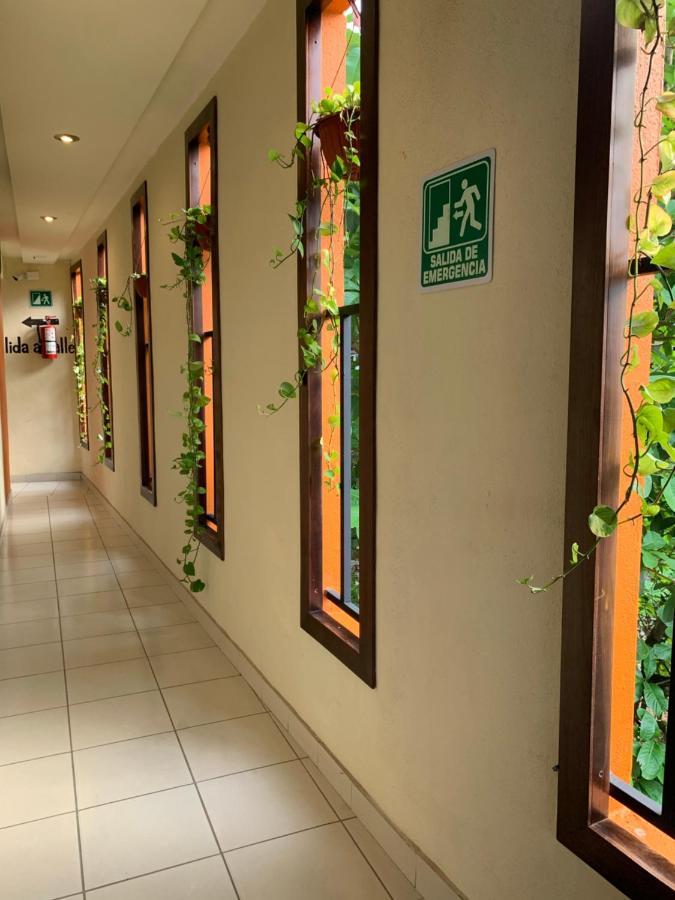 Hotel Cafenaranja Хилитла Экстерьер фото